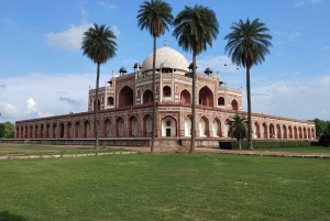 Delhi: elige entre el tour de un día o de medio día por la Vieja y Nueva Delhi
