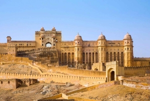 Delhi: 8-dniowa wycieczka po Złotym Trójkącie z Tadź Mahalem