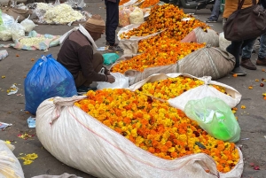 Delhi in één dag: ontdek de cultuur van de stad