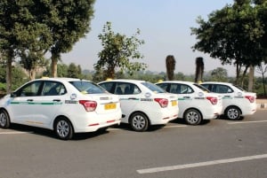 Delhi/Jaipur/Agra: Prywatny transfer w jedną stronę