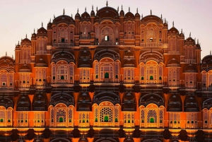 Delhi: Private 3-Days Jaipur & Ranthambore Tiger Safari Tour