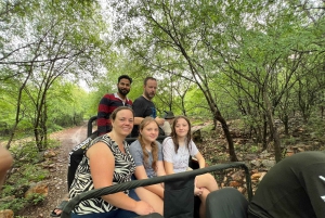 Delhi: Private 3-Days Jaipur & Ranthambore Tiger Safari Tour