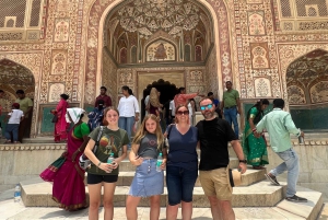 Delhi: Private 3-Days Jaipur & Ranthambore Tiger Safari Tour