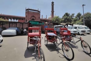 Delhi: Private 5-Day Golden Triangle Tour with Female Guide