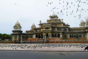 Delhi: Private 5-Day Golden Triangle Tour with Female Guide