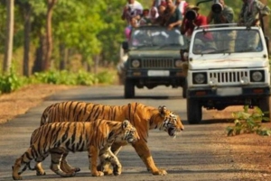 Delhi: Private Golden Triangle 6-Day Trip with Agra & Jaipur