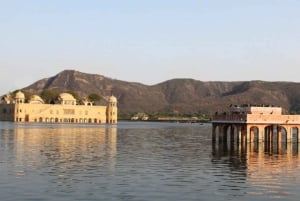 Delhi : Visite privée de Jaipur le même jour avec prise en charge et retour.