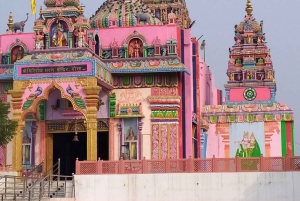 Delhi: Rajasthan hjemsøkte Hanuman-tur med måltider