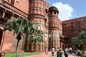 Delhi: Tadź Mahal o świcie i Agra – wycieczka prywatna z przewodnikiem