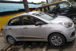 Delhi till / från Jaipur: Envägs stadstransfer