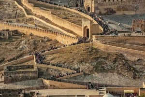 Delhi to Jaipur: Private Full-Day Guided City Highlights