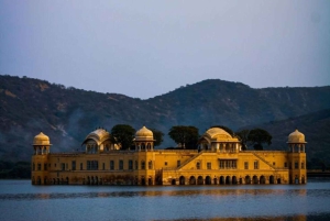 Delhi to Jaipur: Private Full-Day Guided City Highlights