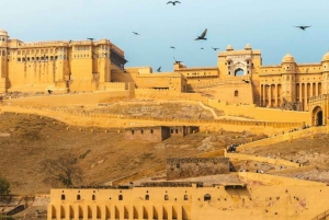 Da Delhi a Jaipur: tour privato di un giorno intero con guida per scoprire le attrazioni della città