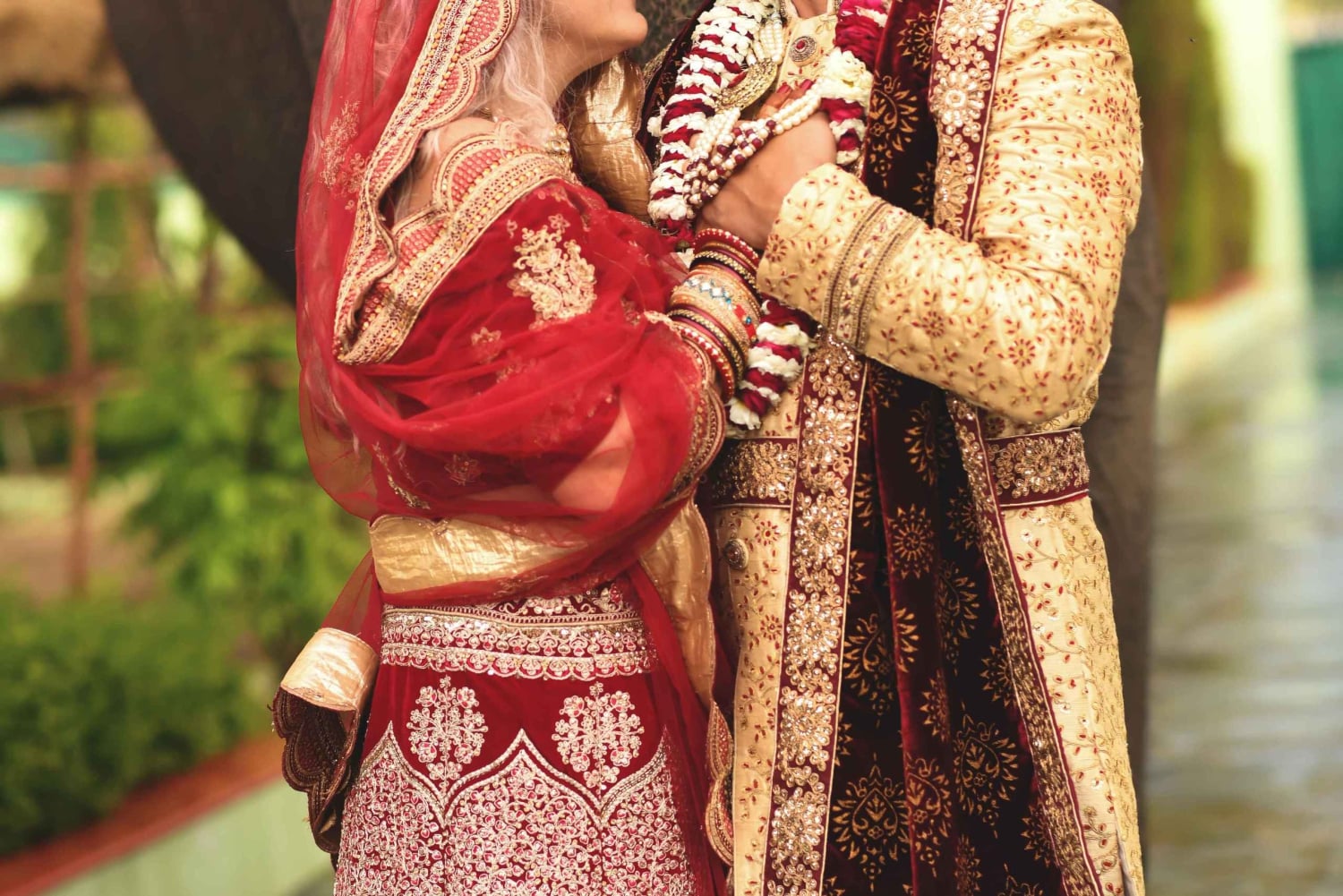 Visite du sanctuaire des éléphants Elefantastic