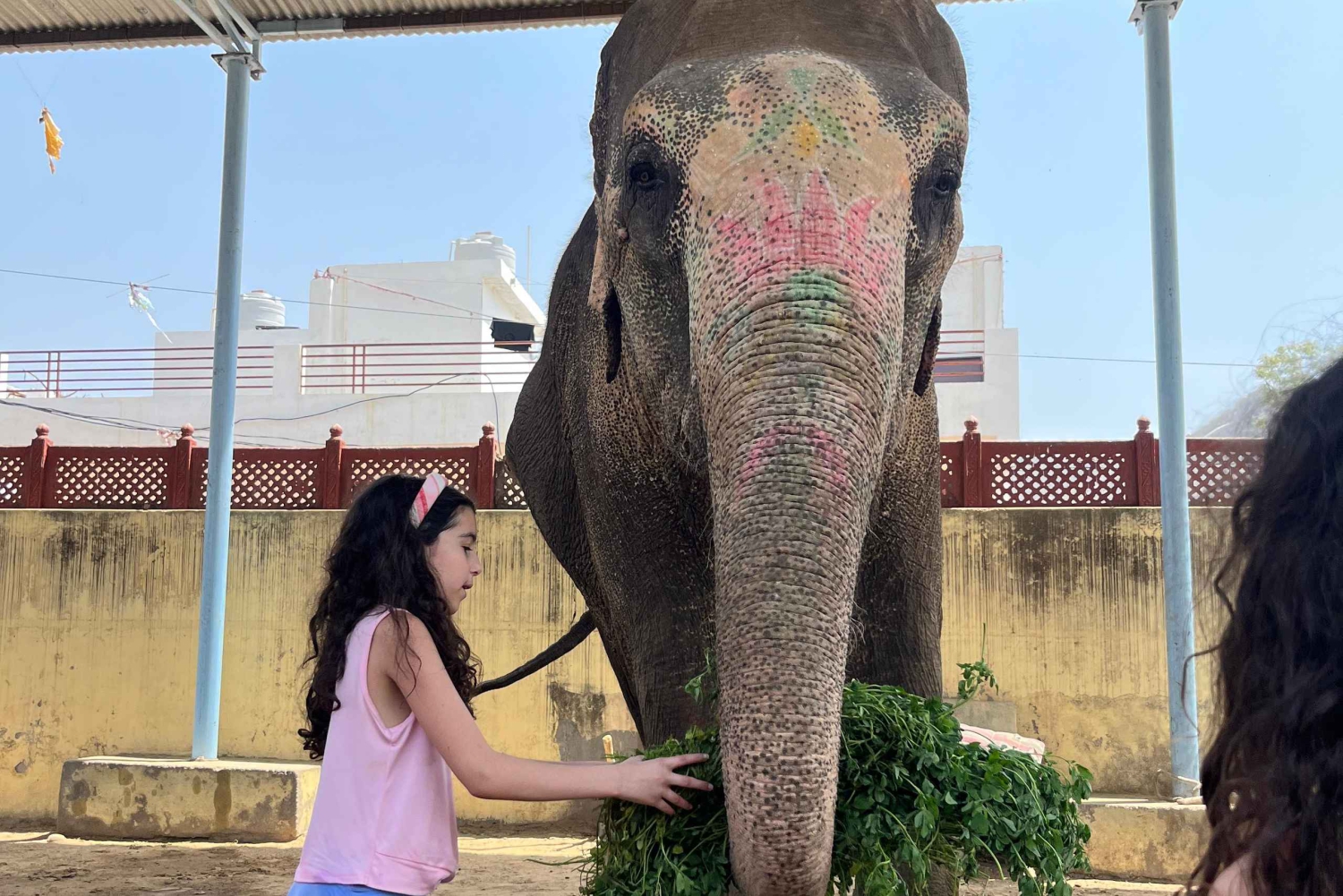 Elefun – det bästa elefantreservatet i Jaipur