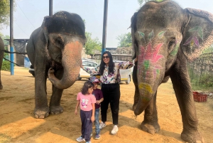 Elefun Beste Olifantenopvang in Jaipur