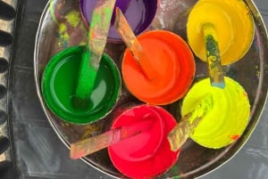 Elefun Beste Olifantenopvang in Jaipur