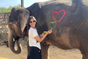 Elefun Beste Olifantenopvang in Jaipur