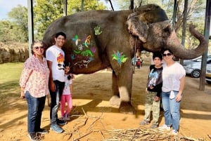 Elefun Beste Olifantenopvang in Jaipur