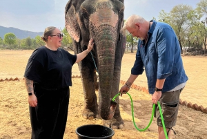 Elefun Beste Olifantenopvang in Jaipur