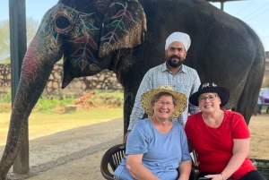 Elefun Beste Olifantenopvang in Jaipur