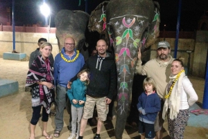 Elefun Beste Olifantenopvang in Jaipur