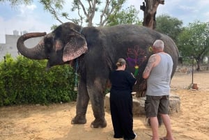 Elefun – det bästa elefantreservatet i Jaipur