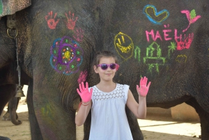 Elefun – det bästa elefantreservatet i Jaipur