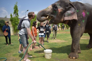 Elefun – det bästa elefantreservatet i Jaipur