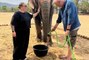 Elefun – det bästa elefantreservatet i Jaipur