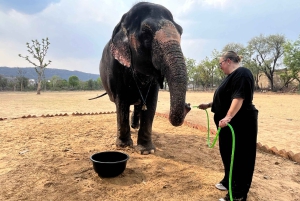 Elefun – det bästa elefantreservatet i Jaipur