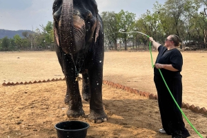 Elefun – det bästa elefantreservatet i Jaipur