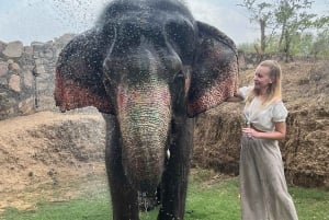 Elefun – det bästa elefantreservatet i Jaipur