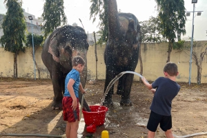 Elefun – det bästa elefantreservatet i Jaipur