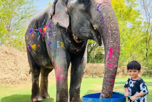 Elefun – det bästa elefantreservatet i Jaipur