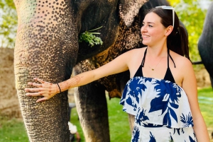 Elefun – det bästa elefantreservatet i Jaipur