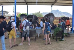 Elefun – det bästa elefantreservatet i Jaipur