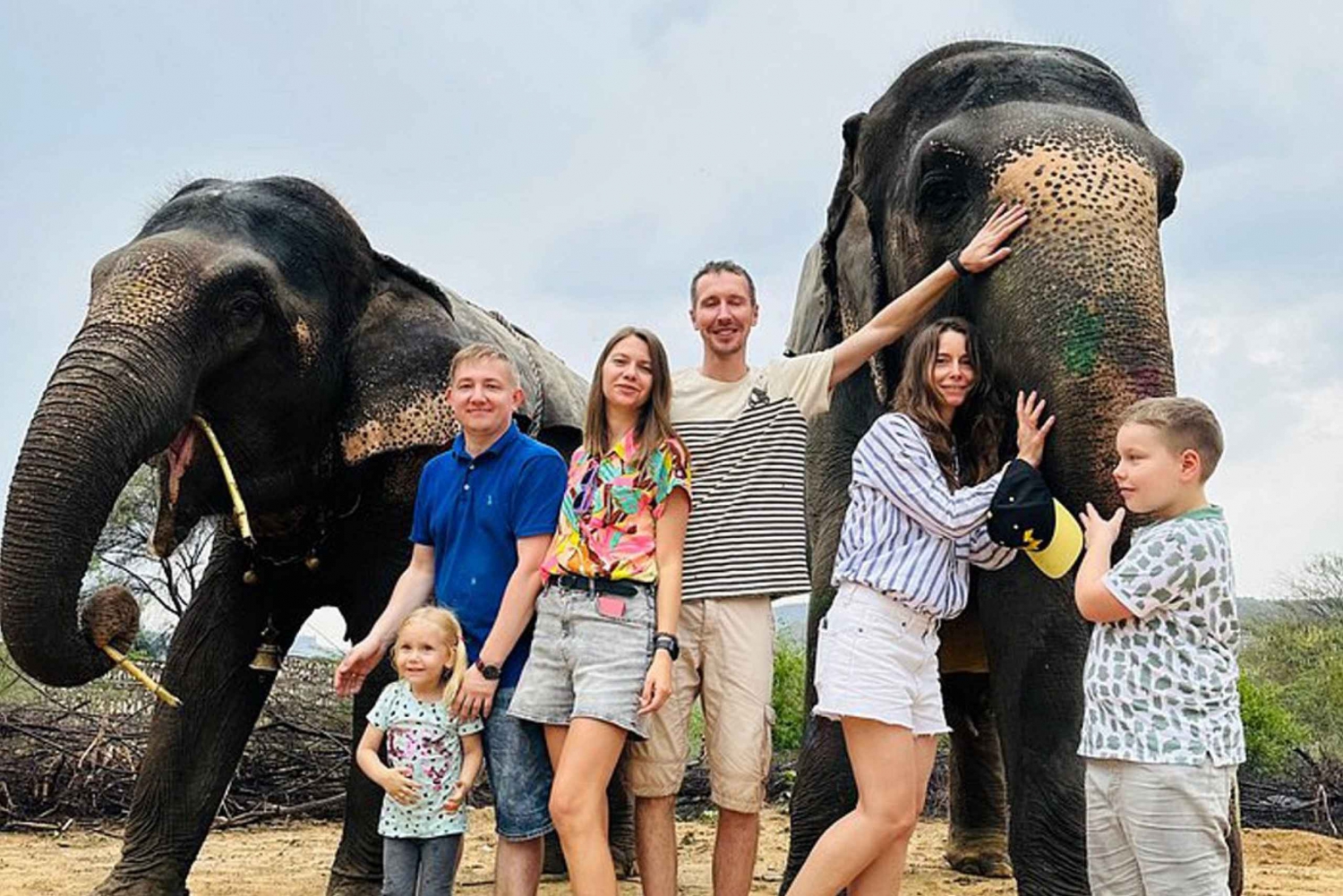 Elephant Sanctuary for Best elephant experience in Jaipur