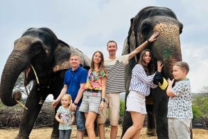 Il santuario degli elefanti per vivere la migliore esperienza con gli elefanti a Jaipur