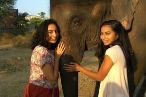 Il santuario degli elefanti per vivere la migliore esperienza con gli elefanti a Jaipur