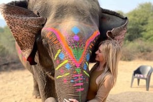 Il santuario degli elefanti per vivere la migliore esperienza con gli elefanti a Jaipur