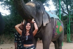 Från Delhi: 3-dagars Gyllene Triangeln-tur med 5- och 3-stjärnigt hotell