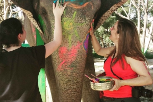 Från Delhi: 3-dagars Gyllene Triangeln-tur med 5- och 3-stjärnigt hotell