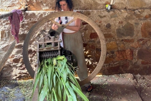 Escursione ad Abhaneri e al Tempio delle Scimmie da Jaipur