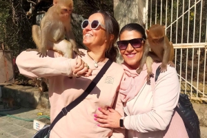 Escursione ad Abhaneri e al Tempio delle Scimmie da Jaipur