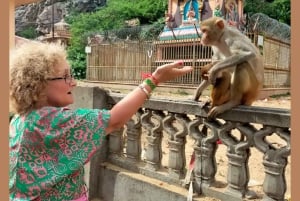 Escursione ad Abhaneri e al Tempio delle Scimmie da Jaipur