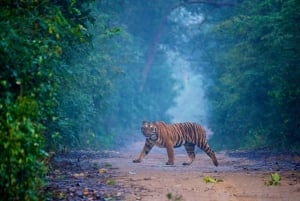 Odkryj Złoty Trójkąt i Pushkar z safari w Ranthambore