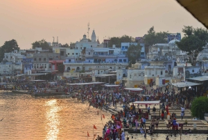 Utforsk Pushkar på en dag fra Jaipur, privat tur