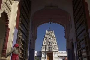 Utforsk Pushkar på en dag fra Jaipur, privat tur