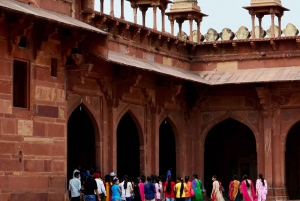 Fatehpur, Bird Sanctuary, Chand Baori Jaipur Drop From Agra